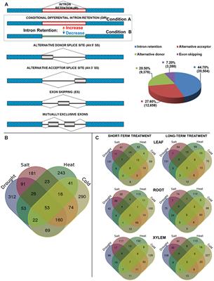 Abiotic Stresses Modulate Landscape of Poplar Transcriptome via Alternative Splicing, Differential Intron Retention, and Isoform Ratio Switching